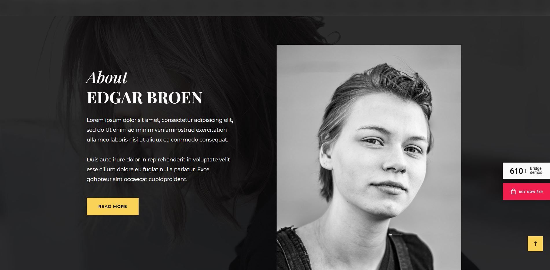 Hago tu web con Wordpress